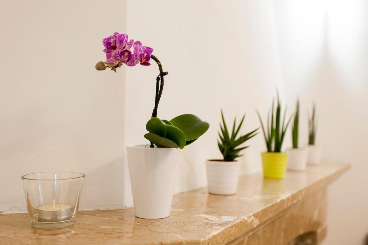 Ginjinha House - 4 Rooms - Bairro Alto - With Ac! Лісабон Екстер'єр фото